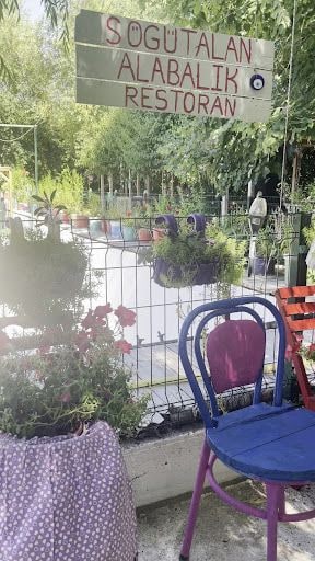 Fotoğraf 27
