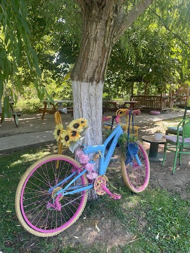Fotoğraf 28
