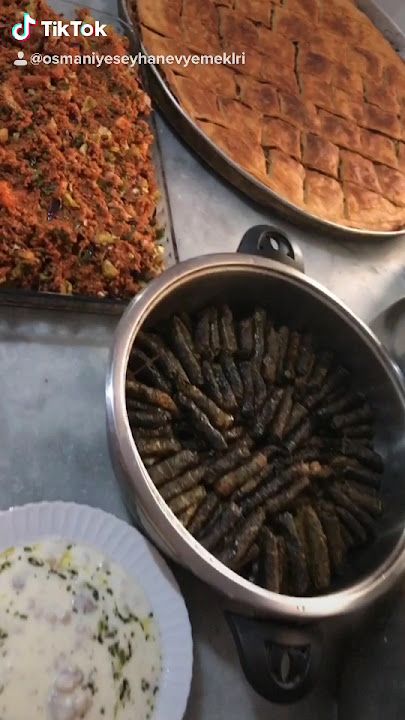 Fotoğraf 16