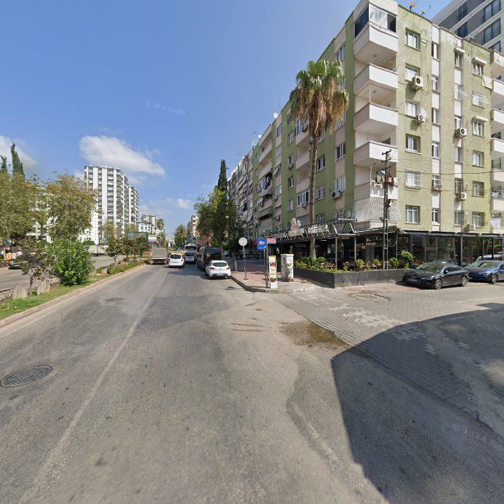 Fotoğraf 13