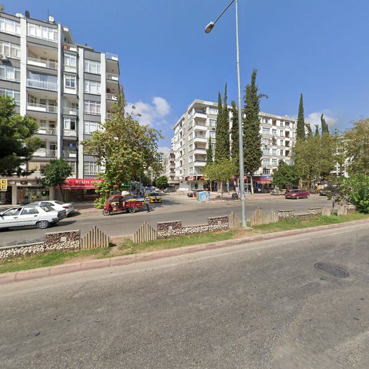 Fotoğraf 12