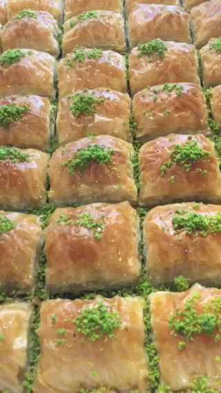 Fotoğraf 22