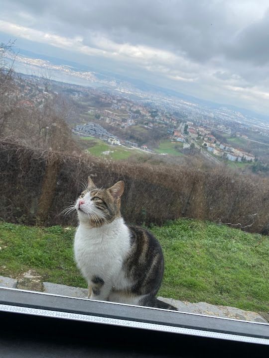 Fotoğraf 56