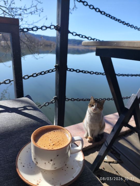 Fotoğraf 27
