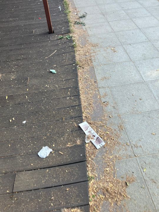 Yorum fotoğrafı 4