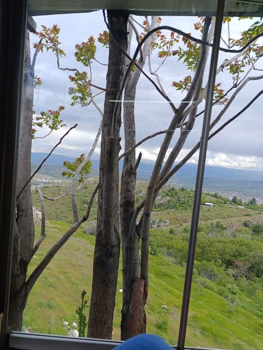 Fotoğraf 35