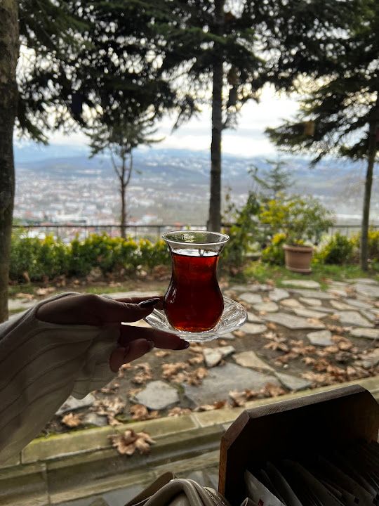 Yorum fotoğrafı 2