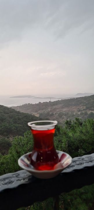Fotoğraf 33