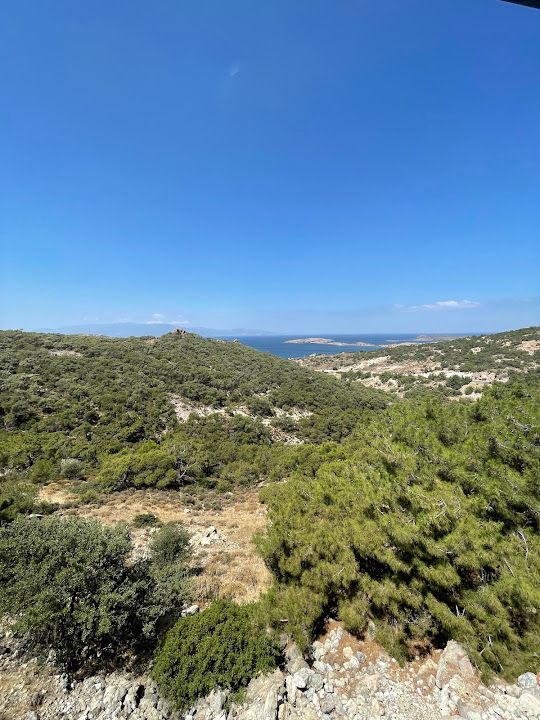 Fotoğraf 51
