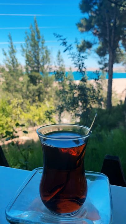 Fotoğraf 16