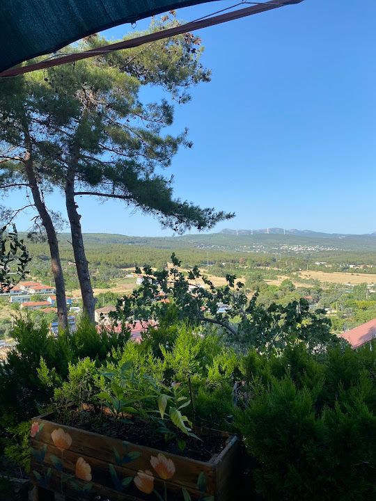 Fotoğraf 39