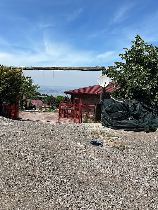 Fotoğraf 19