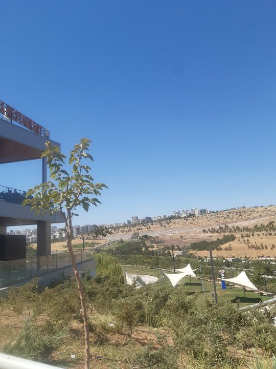 Yorum fotoğrafı 4