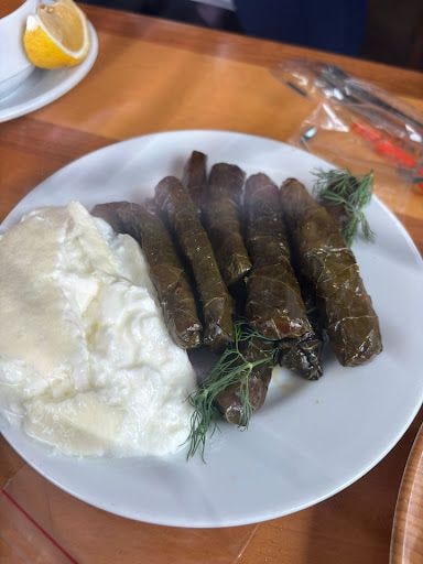 Fotoğraf 14