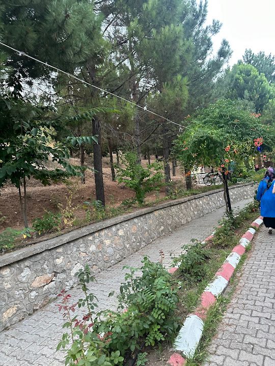 Yorum fotoğrafı 4