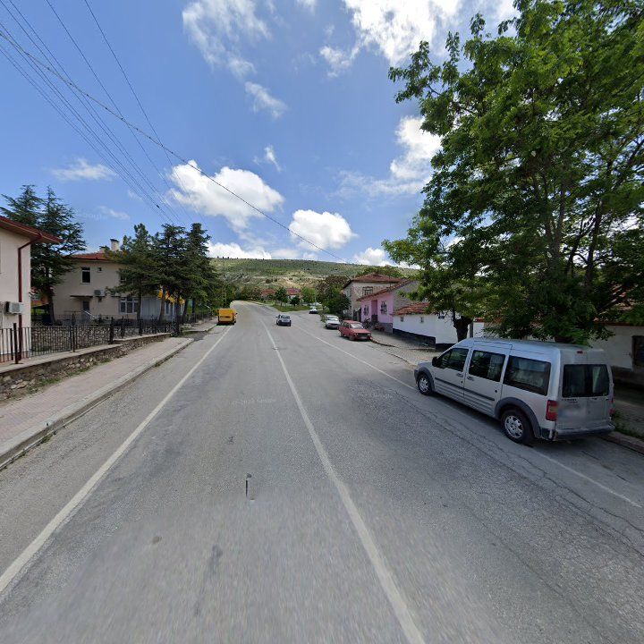 Fotoğraf 8