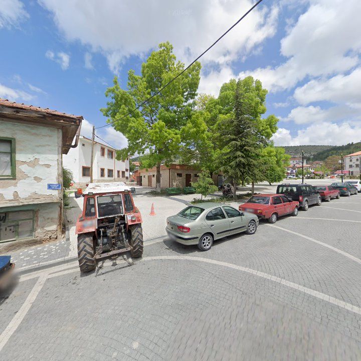 Fotoğraf 8