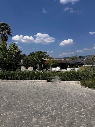 Fotoğraf 25