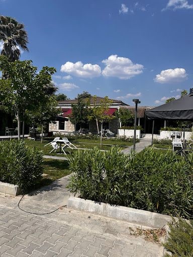 Fotoğraf 26