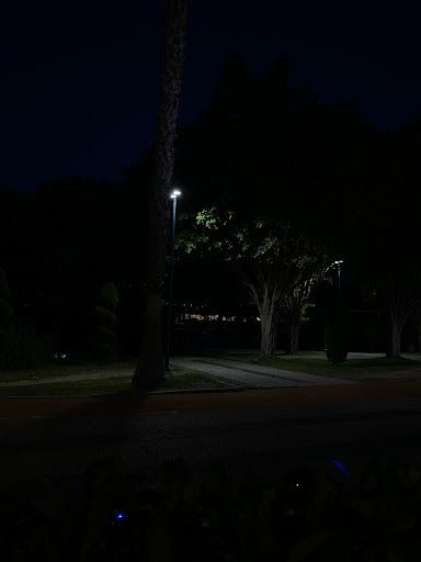 Fotoğraf 14
