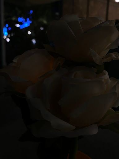 Fotoğraf 15