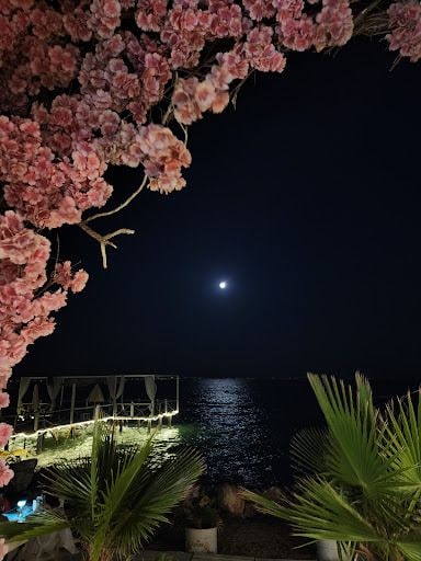 Fotoğraf 19