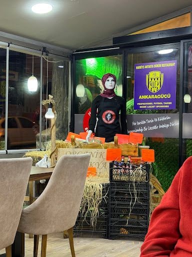Yorum fotoğrafı 2