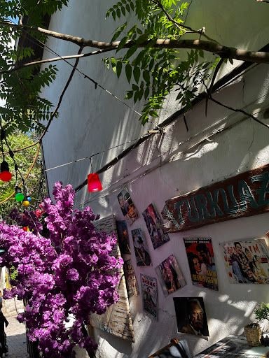 Yorum fotoğrafı 7