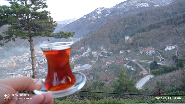 Yorum fotoğrafı 2