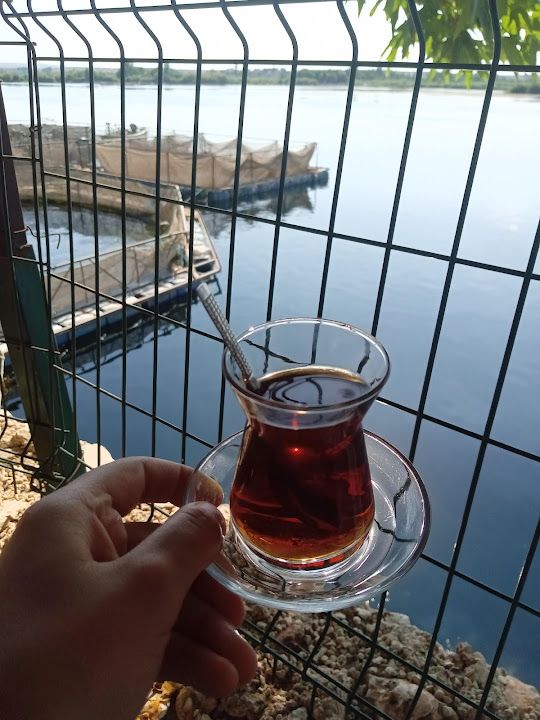 Fotoğraf 27