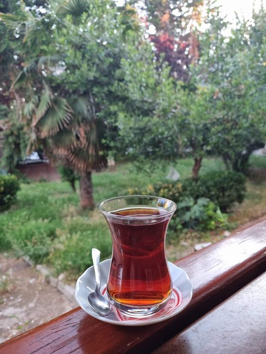 Fotoğraf 43
