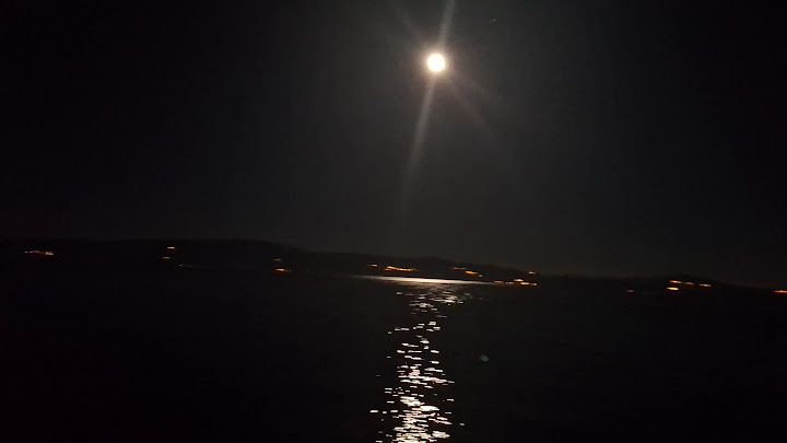 Fotoğraf 13