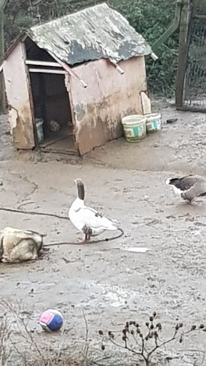 Fotoğraf 64
