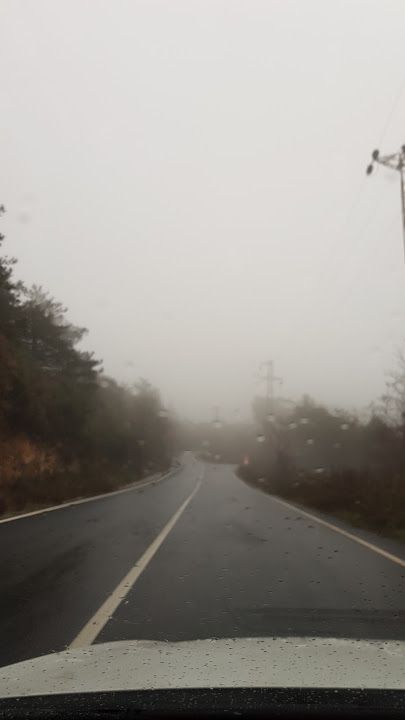 Fotoğraf 63