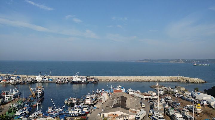 Fotoğraf 15