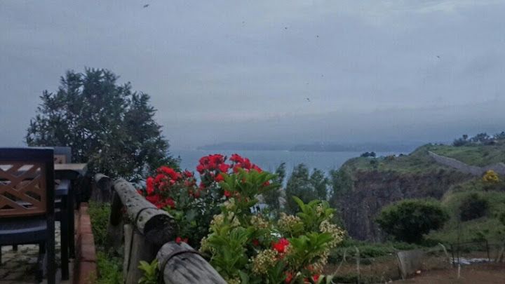 Fotoğraf 60