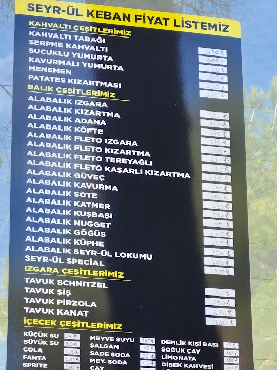 Fotoğraf 24