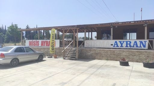Yorum fotoğrafı 5