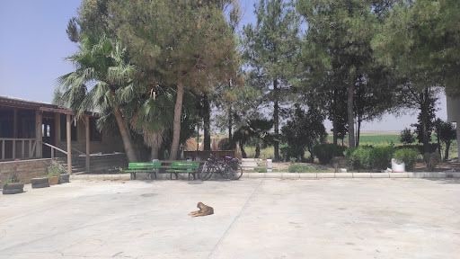 Yorum fotoğrafı 7