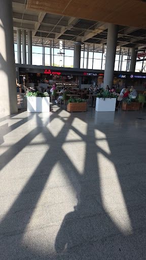 Fotoğraf 13