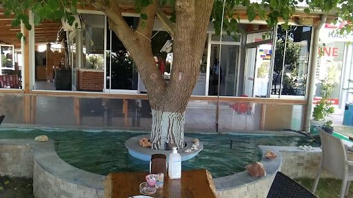 Yorum fotoğrafı 10