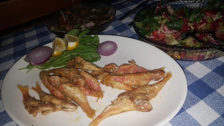 Fotoğraf 21
