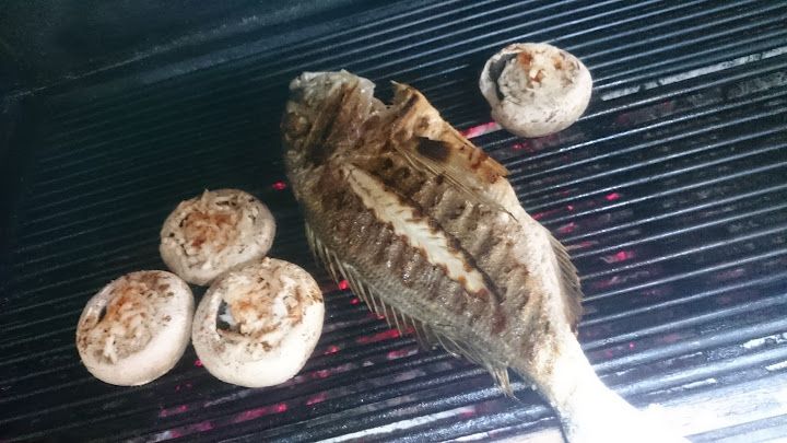 Fotoğraf 24