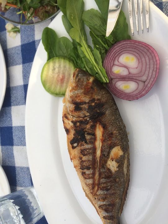 Fotoğraf 23