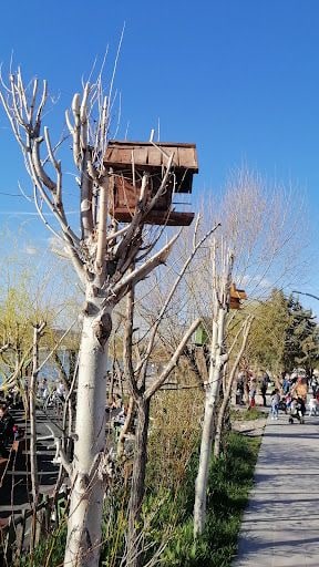 Yorum fotoğrafı 5