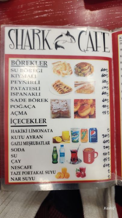 Fotoğraf 14