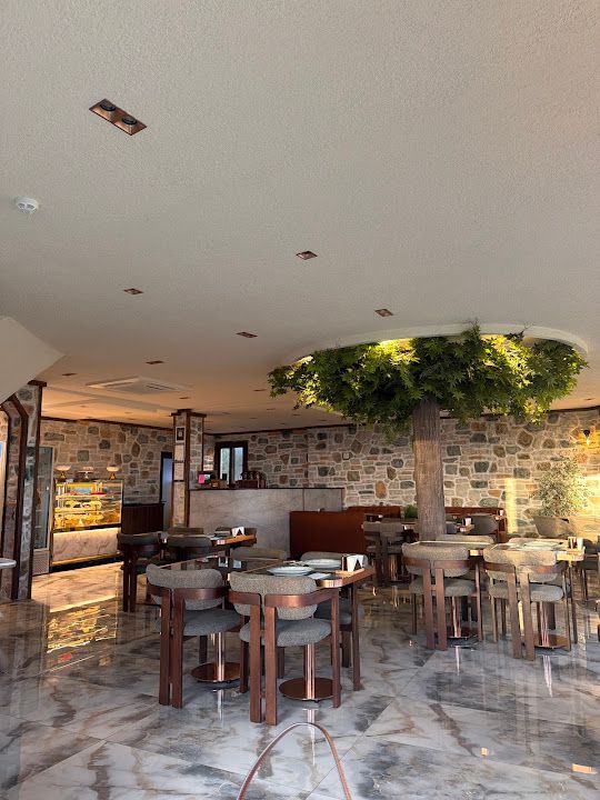 Fotoğraf 31