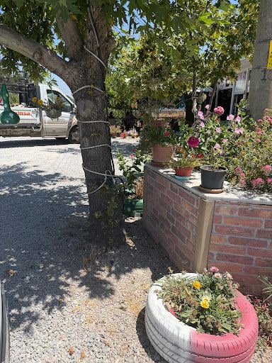 Fotoğraf 14