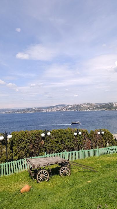 Fotoğraf 51
