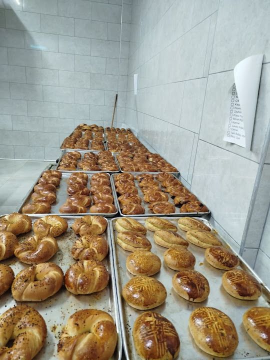 Fotoğraf 15